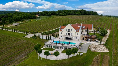 Panoramic view, Commercial properties, Property with privacy, Traditional property.  A unique, multiple award-winner wine house is for sale in the picturesque Balaton uplands!